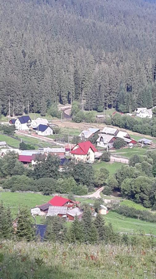 Pensiunea Argela Exterior foto